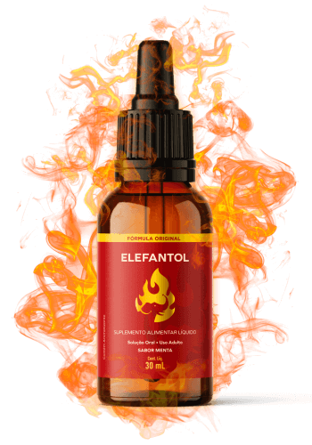 foto oficial do elefantol. Foto de capa